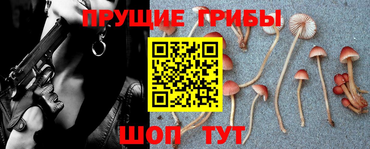 Галлюциногенные грибы ЛСД  Вход с VPN  Каменка 
