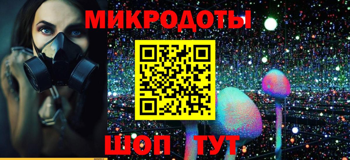 Галлюциногенные грибы Psilocybine cubensis Каменка