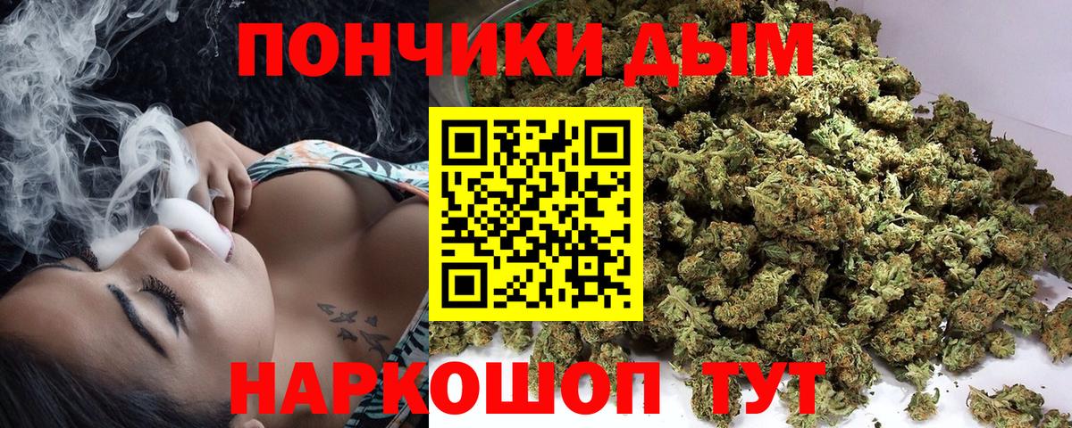 Бошки марихуана Amnesia  Бошки марихуана планчик  Каменка  Вход с VPN  Бошки марихуана марихуана 